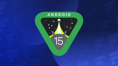 Logo Android 15